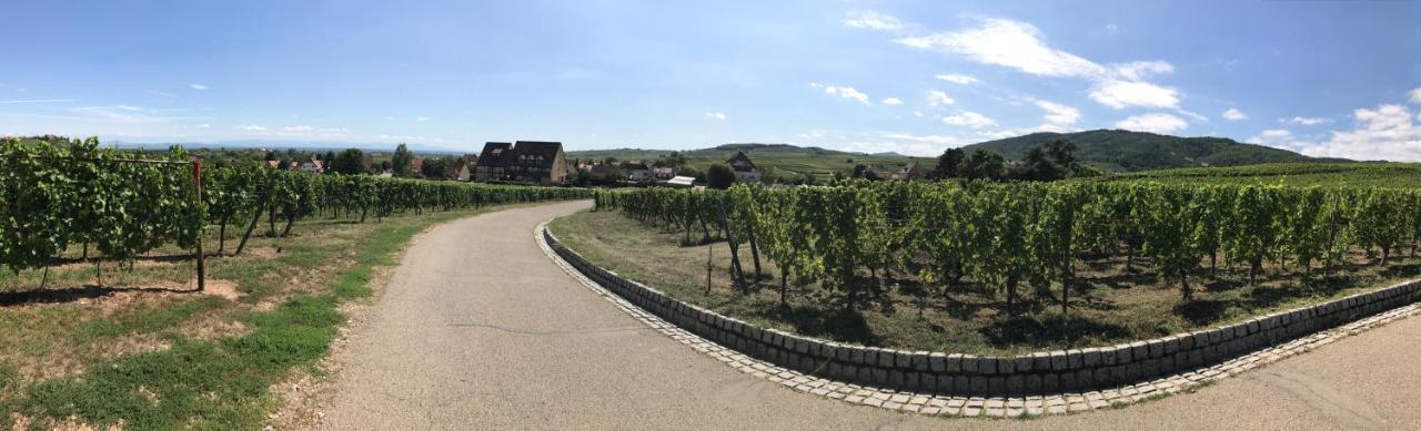 Hotel Le Riquewihr Dış mekan fotoğraf